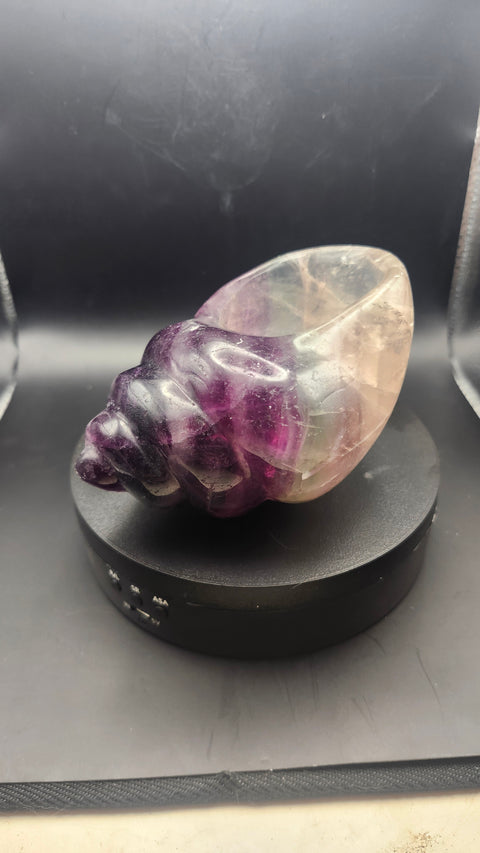 Florite conch shell offering bowl. 1.12 pounds, 4.6 inches long by 3.1 inches wide