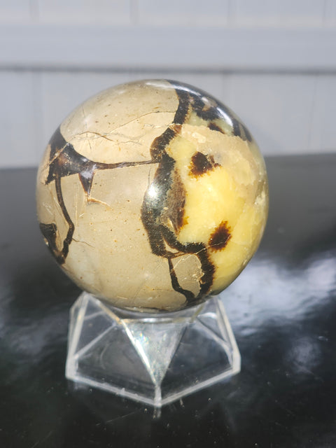11 ounce Septarian stone sphere! 61.4 mm 2.41 inches