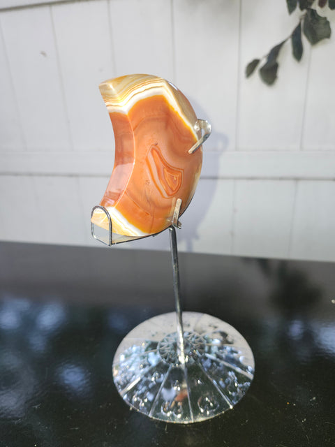 5.4 ounce carnelian moon with zodiac stand
