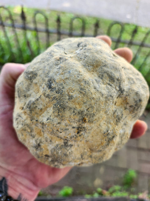 jumbo break your own geode "4.75 too 7 inches"