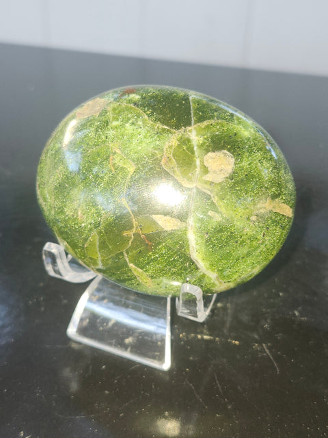 Olive opal palm stone! 2.64 inches wide, 2.09 tall, 4.8 ounce