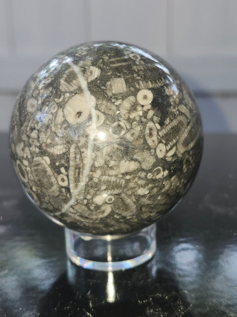 62.5mm, 2.46 inch, 12.4 ounce crinoid fossil sphere