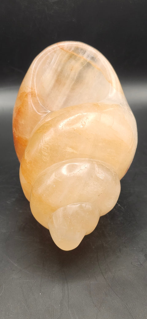 Fire quartz conch shell! 1.12 pounds, 5 inchs long, 2.7 wide