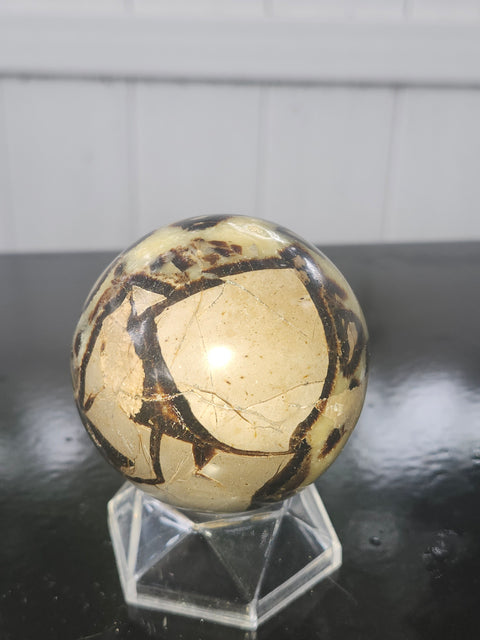 11 ounce Septarian stone sphere! 61.4 mm 2.41 inches