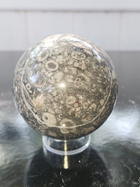 62.5mm, 2.46 inch, 12.4 ounce crinoid fossil sphere
