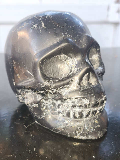 Shungite skull! 1.5 pounds, 4 inches long by 3.1 tall, 2.5 wide