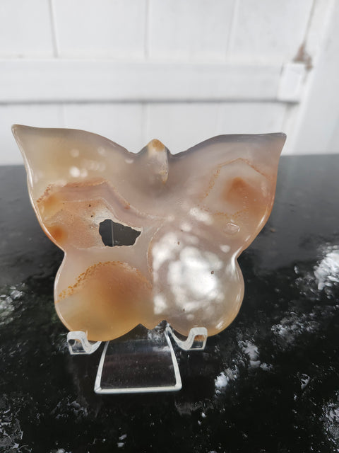 Druzy agate butterfly! 5 ounces, 4 inches wide, 3 inches tall
