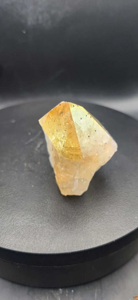 Angel aura citrine polished top point. 2 ounces