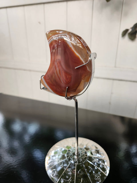 5.4 ounce carnelian moon with zodiac stand
