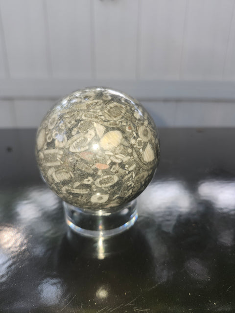 65.8mm, 2.59 inch, 14 ounce, crinoid fossil sphere!