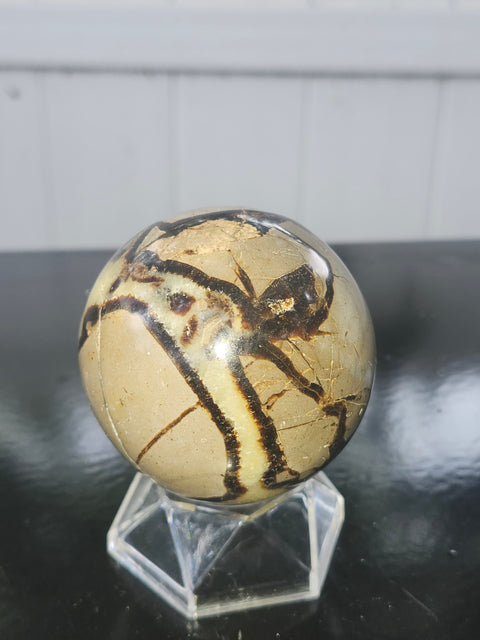 11 ounce Septarian stone sphere! 61.4 mm 2.41 inches