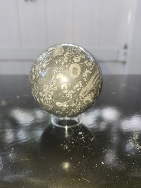 65.8mm, 2.59 inch, 14 ounce, crinoid fossil sphere!
