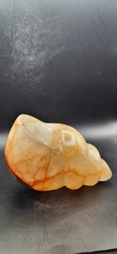 Fire quartz conch shell! 1.12 pounds, 5 inchs long, 2.7 wide