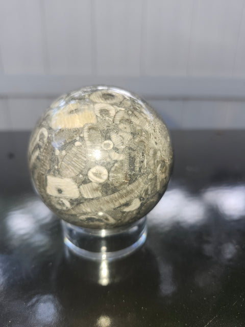65.8mm, 2.59 inch, 14 ounce, crinoid fossil sphere!