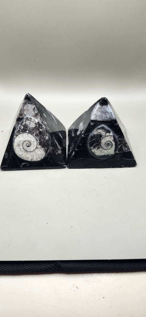 Orthoceras pyramid! 13 ounces 3 inches