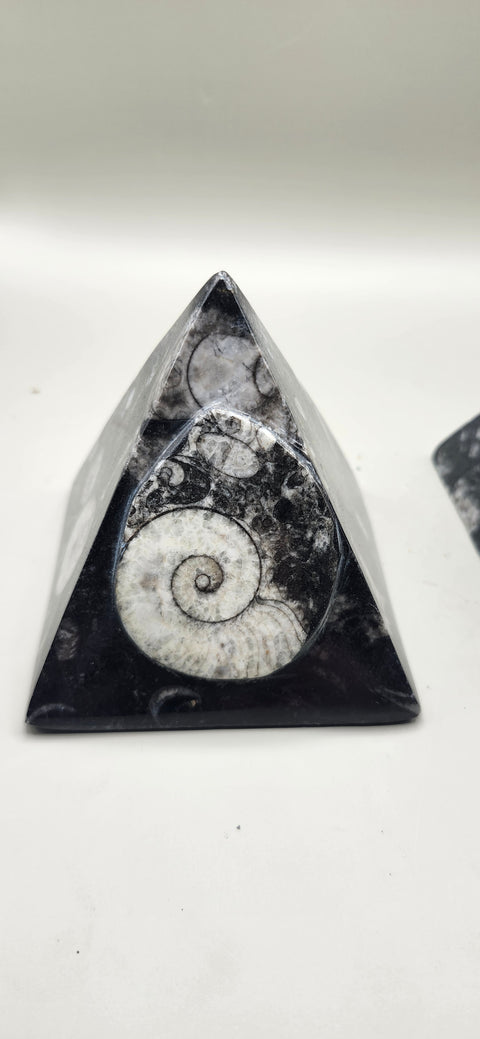 Orthoceras pyramid! 13 ounces 3 inches