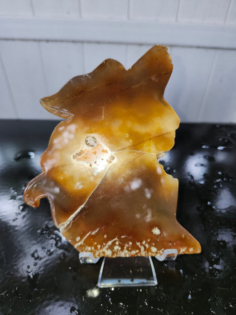 Druzy agate wolf! 9 ounces, 6 inches