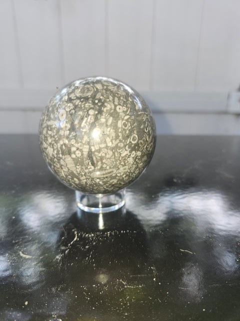 65.8mm, 2.59 inch, 14 ounce, crinoid fossil sphere!