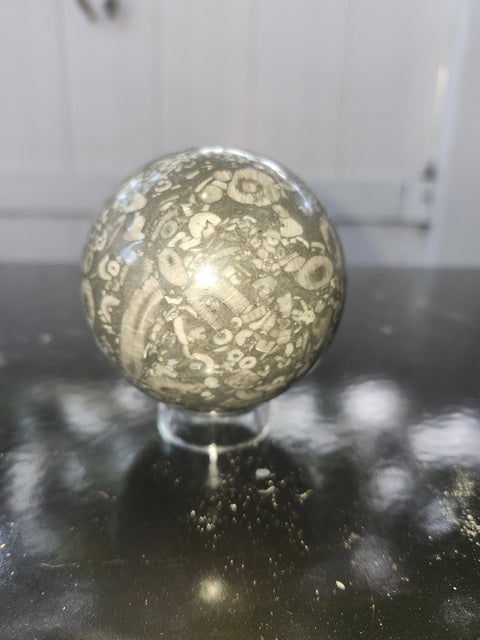 65.8mm, 2.59 inch, 14 ounce, crinoid fossil sphere!