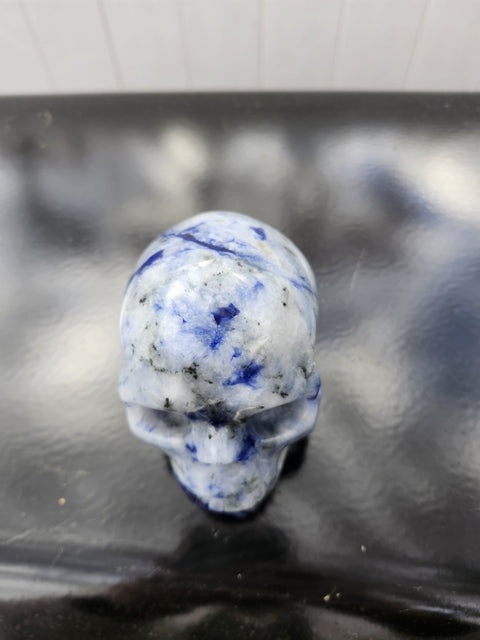 1.9 Pound Blue Sodalite Skull