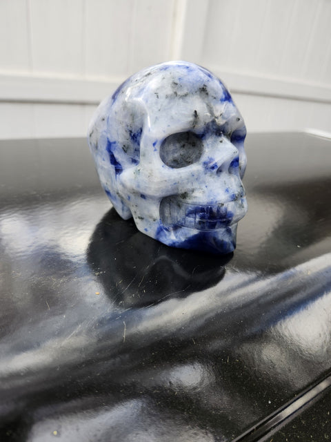 1.9 Pound Blue Sodalite Skull