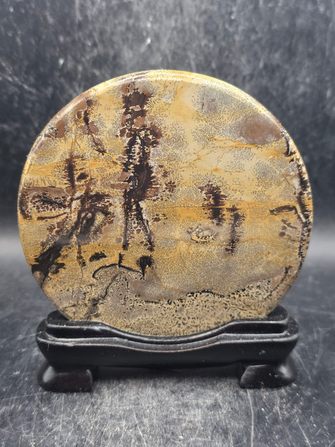 Natural picture jasper slab with stand! 4.6 ounces, 3.5 inches wide
