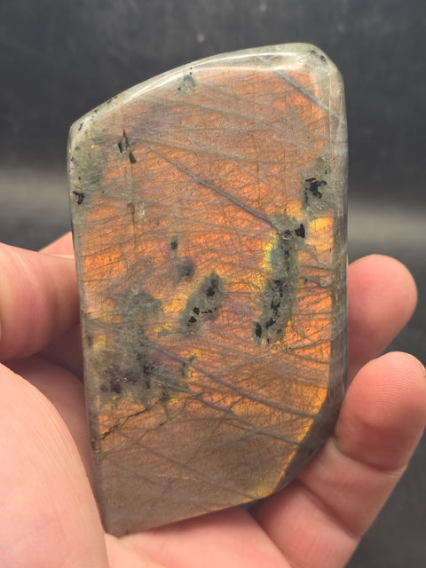 Orange flash sunset labradorite free form! 9.4 ounces, 3.4 inches wide