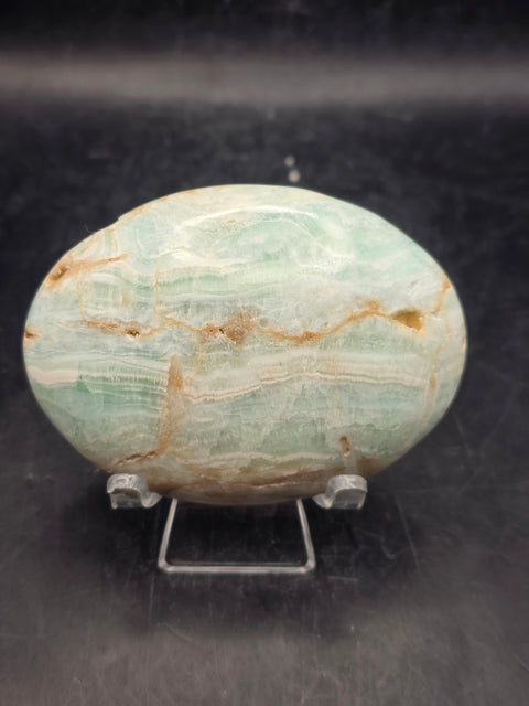 Caribbean calcite palm stone! 5.7 ounces, 3 inches long, 2.2" wide