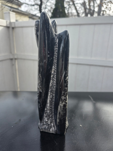 Orthoceras limestone statue! 3.5 pounds, 9 inches tall, 2.5" wide