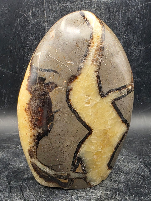 Septarian stone free form! 1.4 pounds!  4.5 inches tall, 3 inches wide