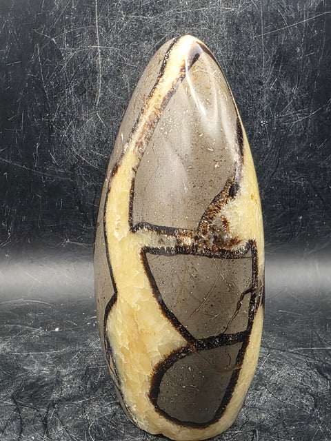 Septarian stone free form! 1.4 pounds!  4.5 inches tall, 3 inches wide