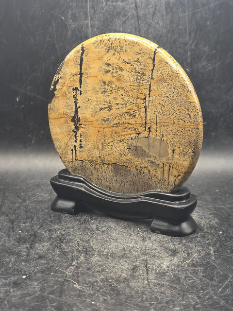 Natural picture jasper slab with stand! 4.9 ounces, 3.5 inches wide!
