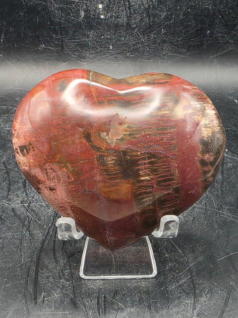 Petrified wood heart! 7.2 ounces, 3.1 inches wide by 2.7" tall