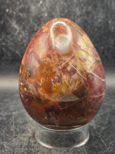 Petrified wood egg! 1.3 pounds, 3.4 inches tall, 2.6 inches wide!