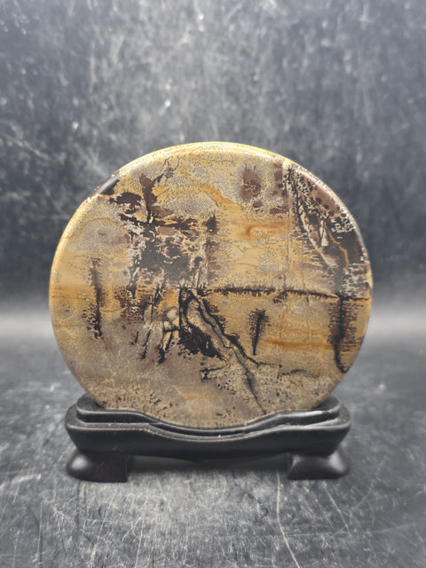 Natural picture jasper slab with stand! 4.6 ounces, 3.5 inches wide