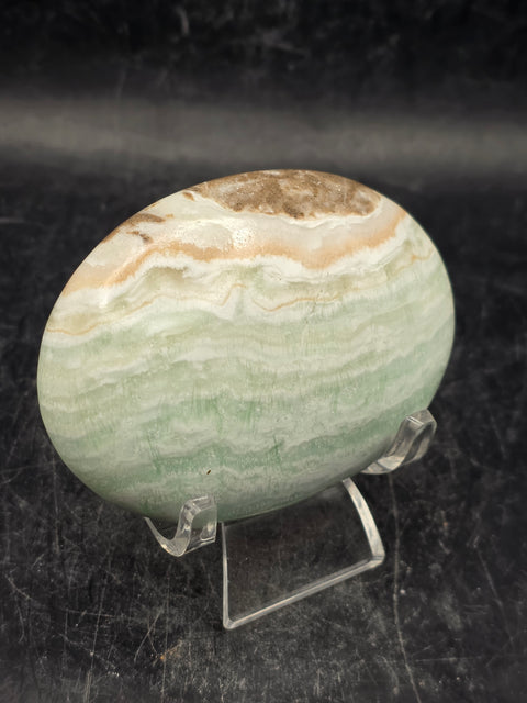 Caribbean calcite palm stone! 4.4 ounces, 2.7 inches long, 1.9" wide