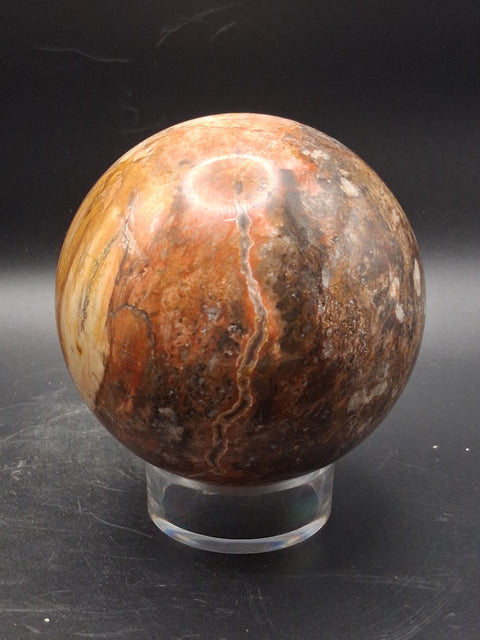 Large petrified wood sphere! 81mm, 3.1 inches, 1.8 pounds