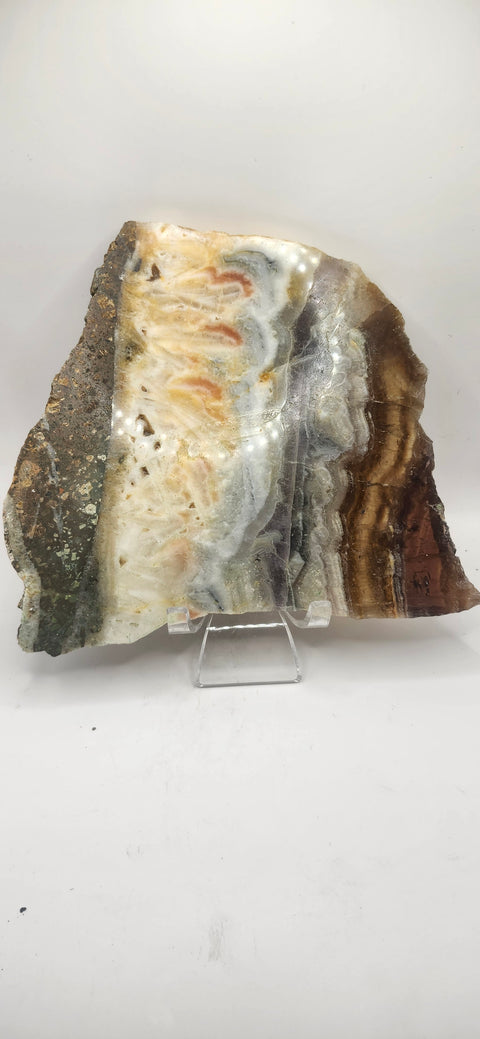 Multi color agate slab! 1.11 pounds, 6 inches by 5.8