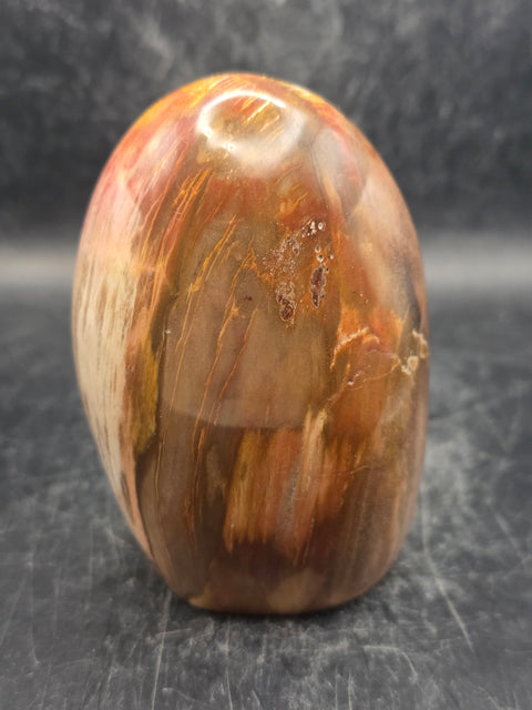 Petrified wood free form! 15.3 ounces, 3.4 inches tall, 2.3 wide