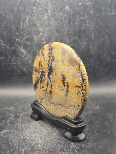Natural picture jasper slab with stand! 4.6 ounces, 3.5 inches wide