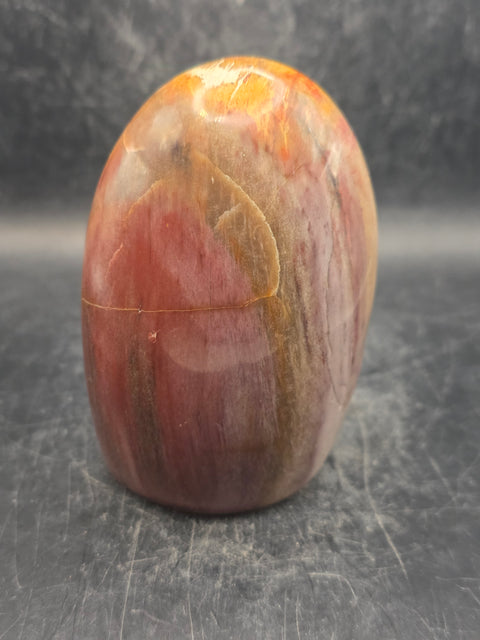 Petrified wood free form! 15.3 ounces, 3.4 inches tall, 2.3 wide