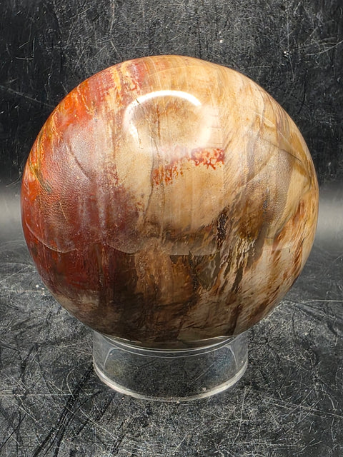 Petrified wood sphere! 79mm, 3.1 inches, 1.8 pounds!