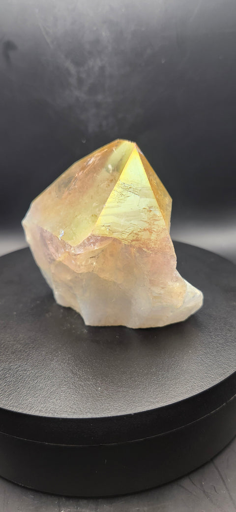 Angel aura citrine polished top point. 8.2 ounces!