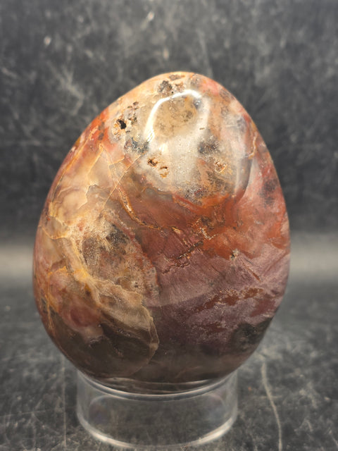 Petrified wood egg! 1.2 pounds, 3.3 inches tall, 2.6 inches wide