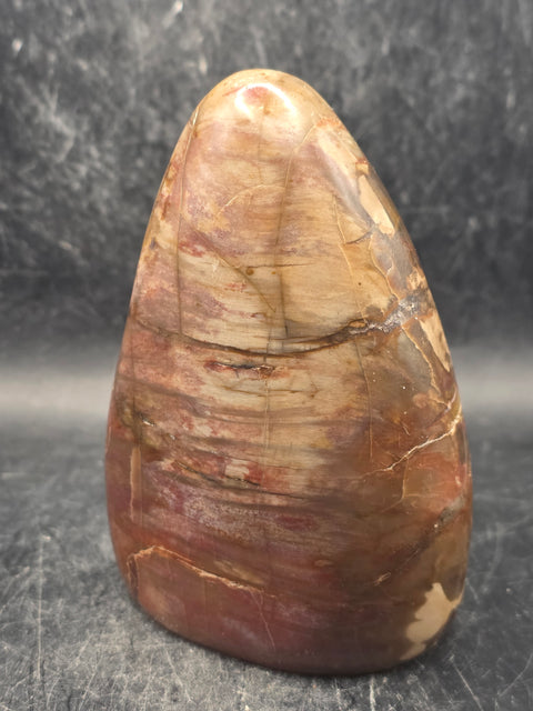 Petrified wood free form! 14.5 ounces, 3.9 inches tall, 2.7" wide