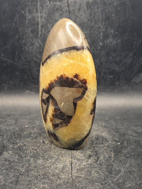 Septarian stone free form! 14 ounces, 4 inches tall, 2.6 inches wide