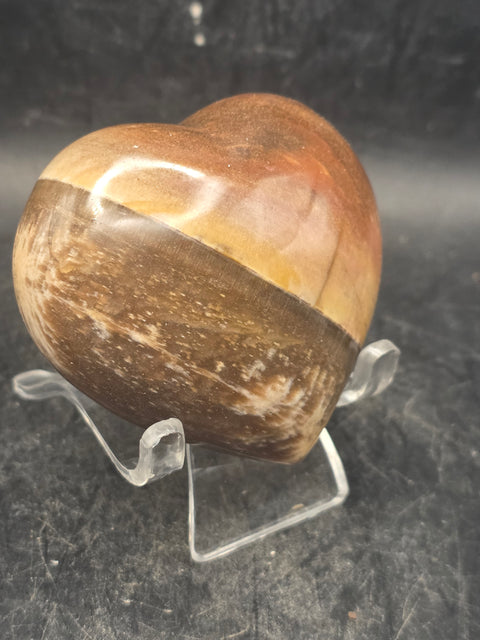 Petrified wood heart! 4.9 ounces, 2.4 inches tall, 2.2 inches wide!