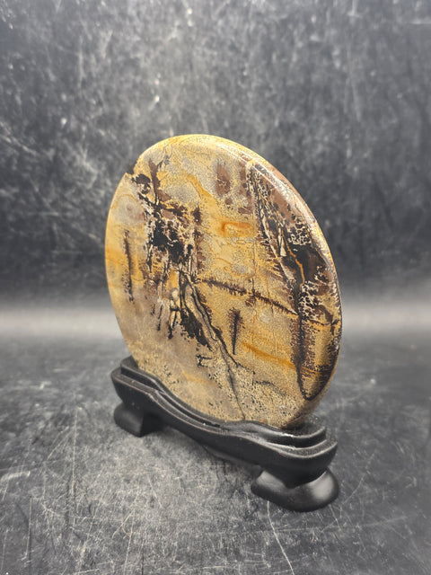 Natural picture jasper slab with stand! 4.6 ounces, 3.5 inches wide