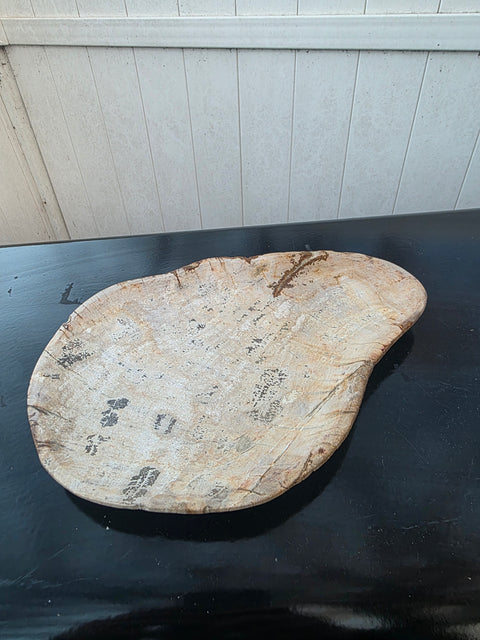 Small petrified wood plate! 9.5 inches by 7 inches, 1.5 pounds!