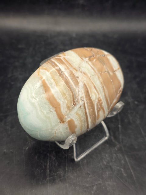 Caribbean calcite palm stone! 4.1 ounces, 2.9 inches long, 1.8" wide